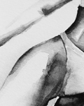 Detail Preview
